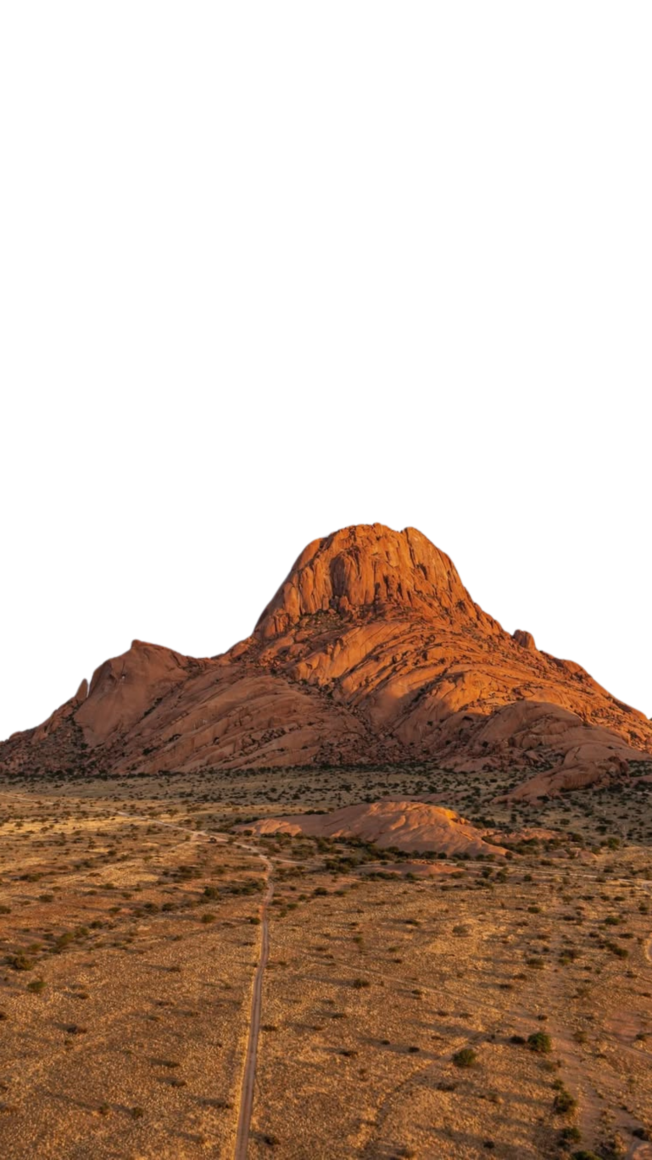 Sans titre (1920 x 1200 px) (1290 x 2293 px)