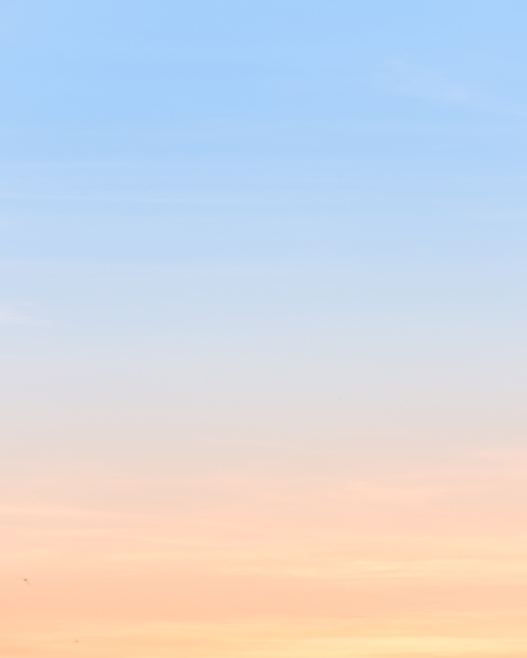 Sans titre (1920 x 1200 px) (1290 x 2293 px) (1080 x 1349 px).png