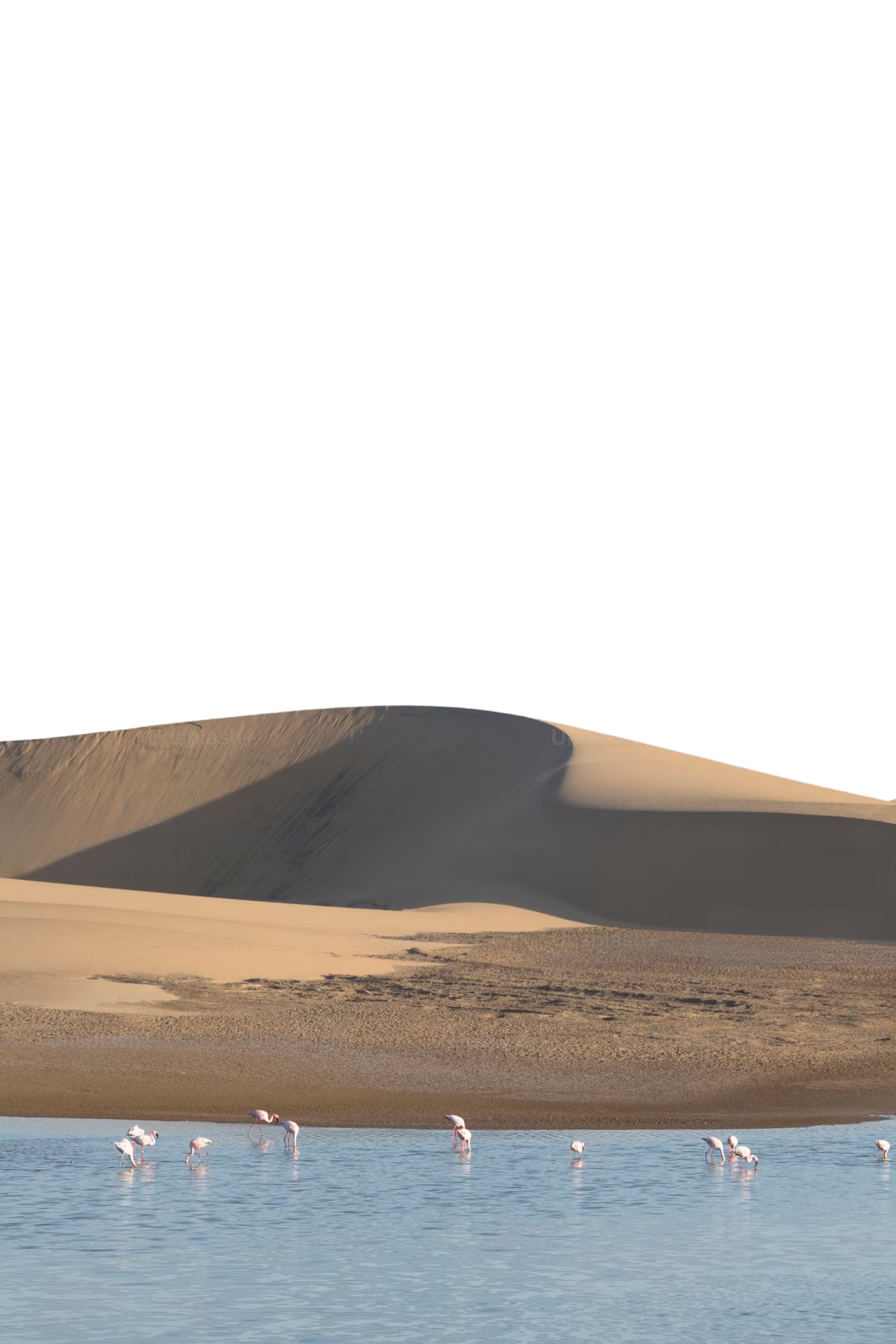 Sans titre (1920 x 1200 px) (1290 x 2293 px) copie 2.png