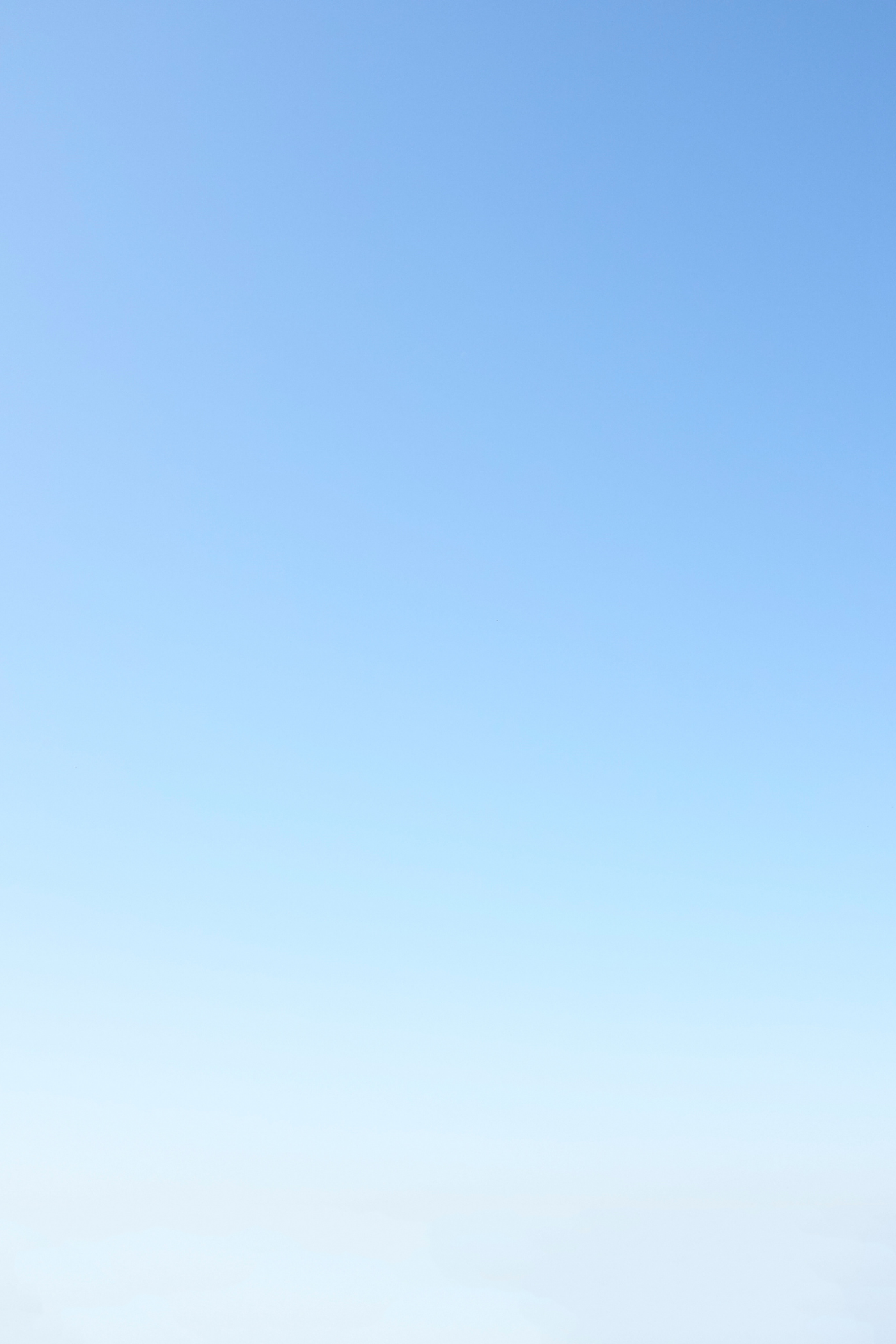 Sans titre (1920 x 1200 px) (1290 x 2293 px) copie 3.png