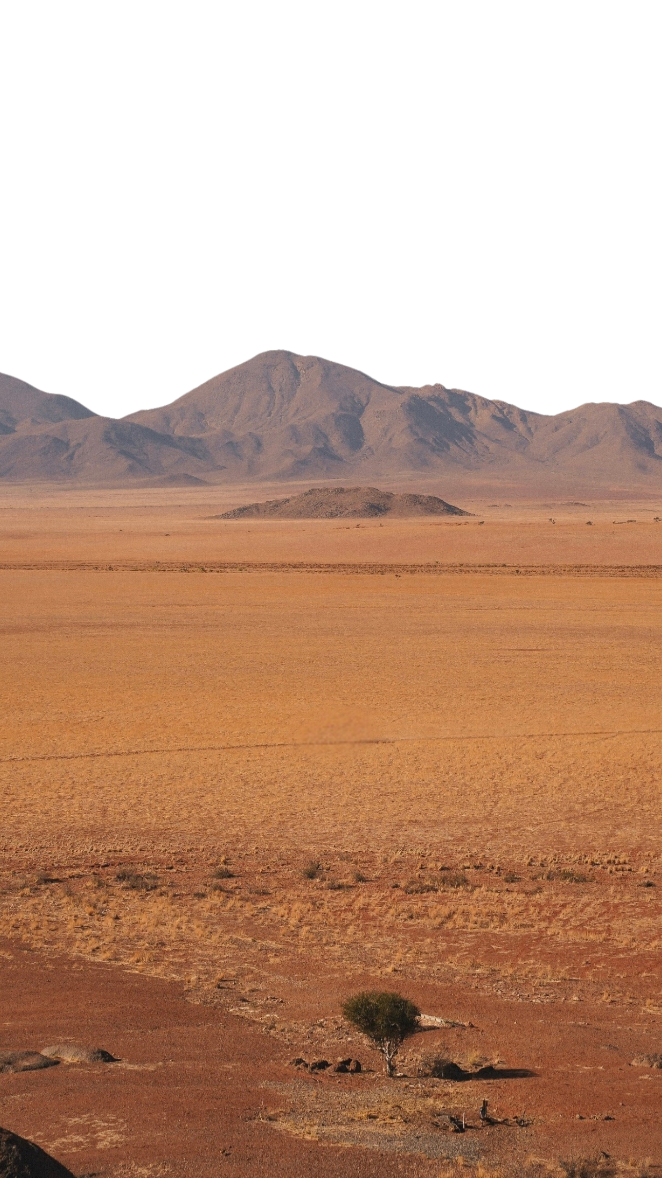 Sans titre (1920 x 1200 px) (1290 x 2293 px) copie.png