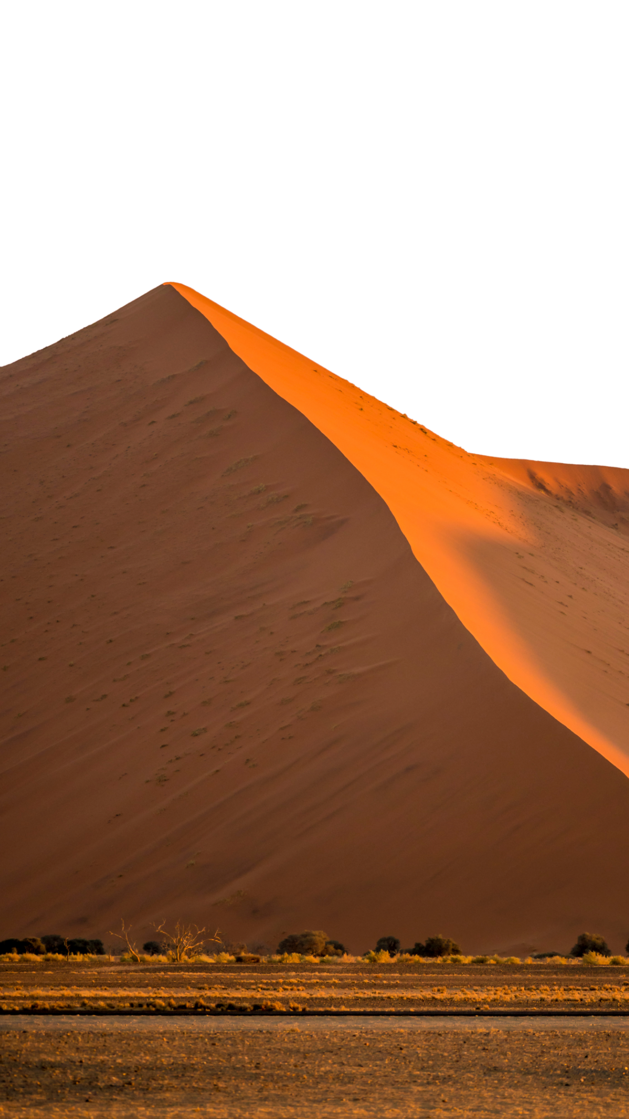 Sans titre (1920 x 1200 px) (1290 x 2293 px)