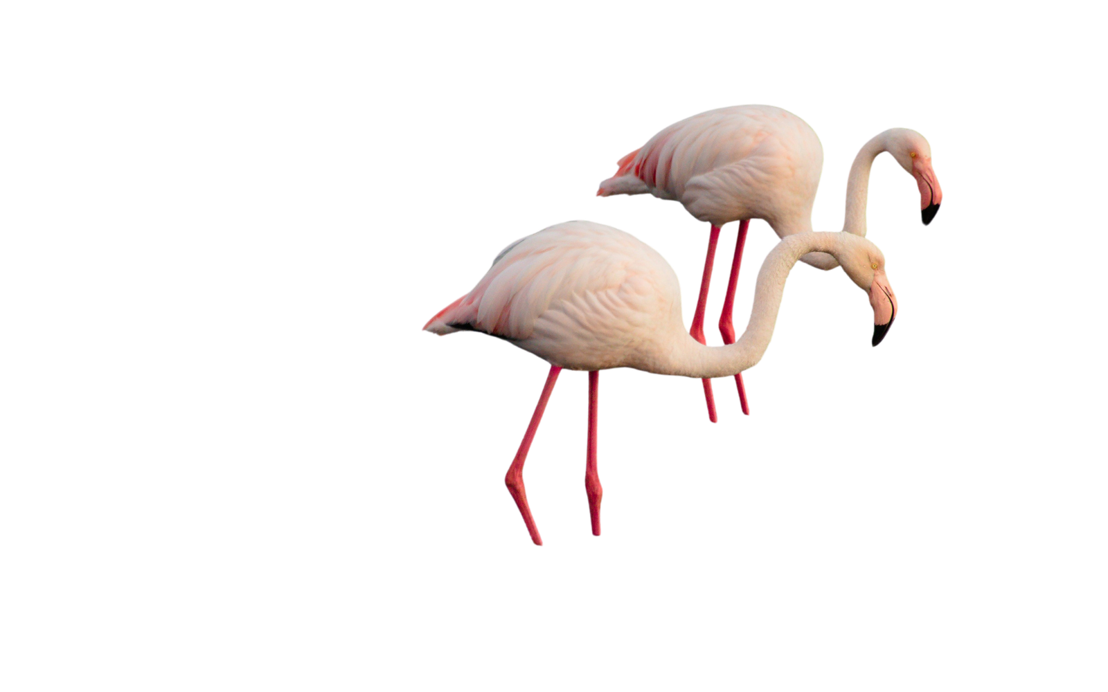 Sans titre (1920 x 1200 px) - 23